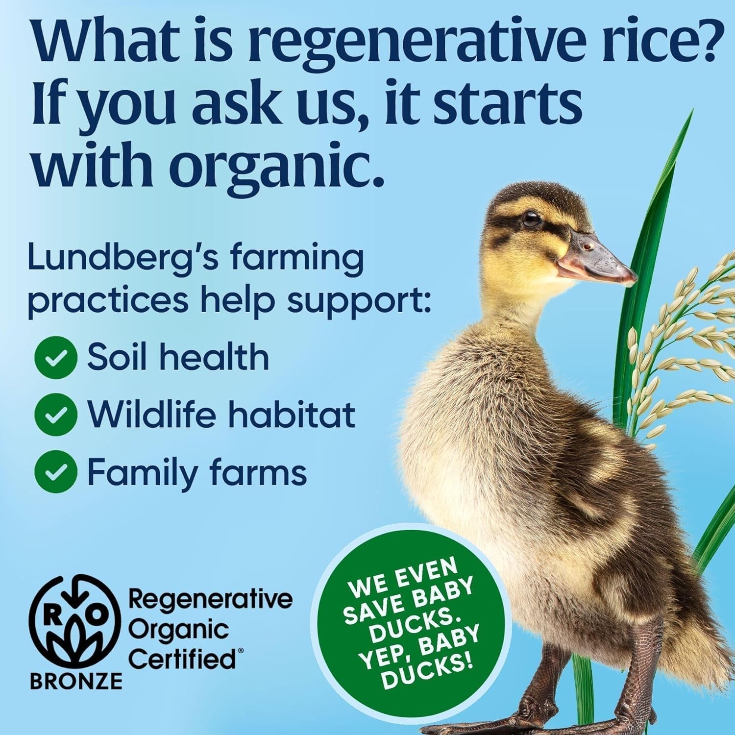 Jasmine Rice, Long Grain White Rice - Non-Sticky, Fluffy Aromatic Rice, Sustainably Grown in California, Regenerative Organic Certified, 8 Oz