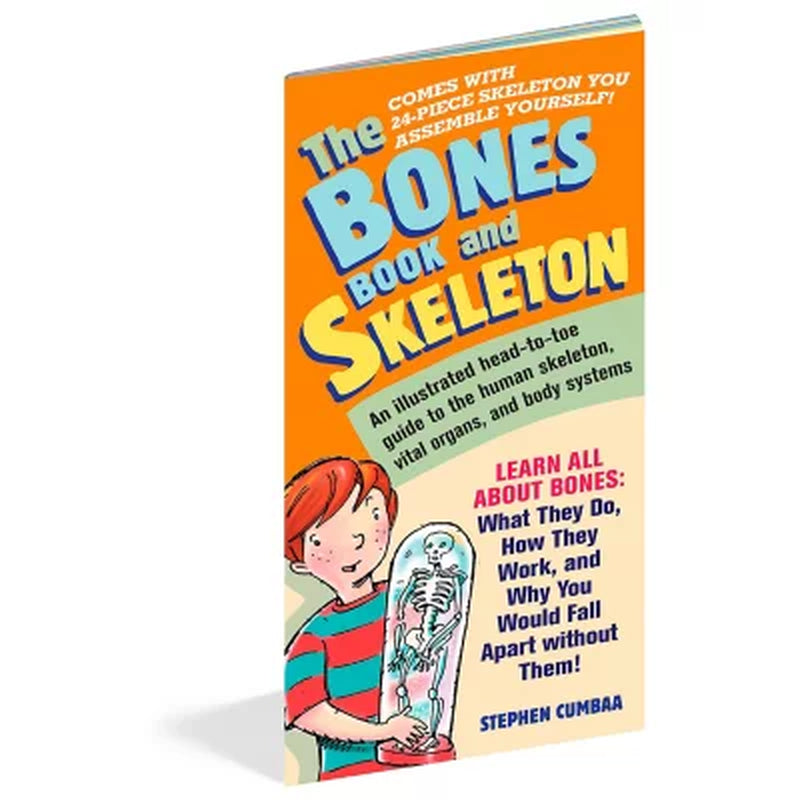 The Bones Book and Skeleton, Mixed Media