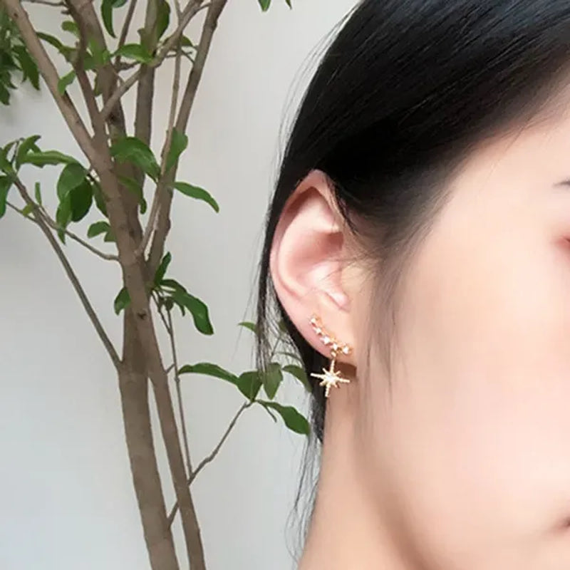 1 Pairs 925 Sterling Silver Stud Earrings New Fashion Snowflake Earrings Diamond Earrings