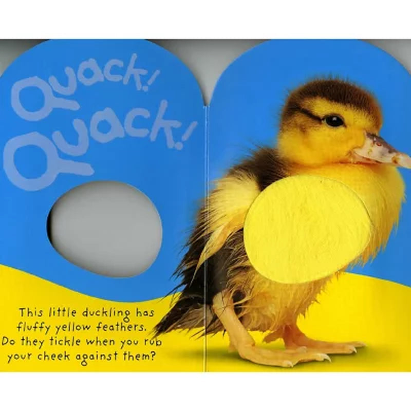 Baby Touch & Feel: Quack! Quack!, Board Book