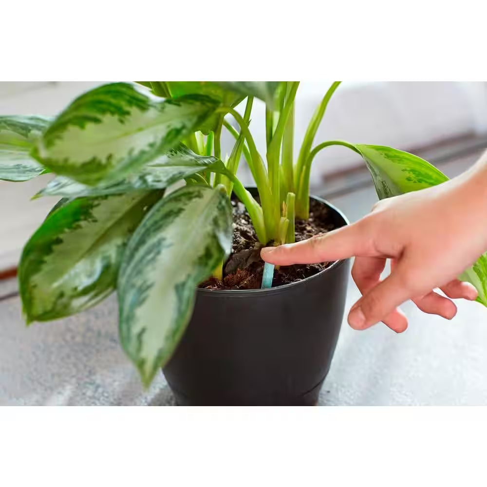 1.1 Oz. Indoor Plant Food Spikes