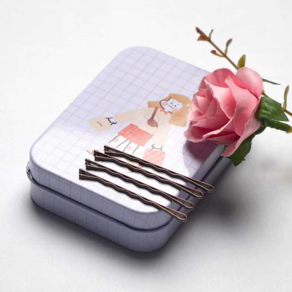Hair Bobby Pins Brown with Cute Case, 200 CT Bobby Pins for Buns, Premium Hair Pins for Kids, Girls and Women, Great Hair Pins for Thick Hair and Thin Hair, 2 Inch (Brown)