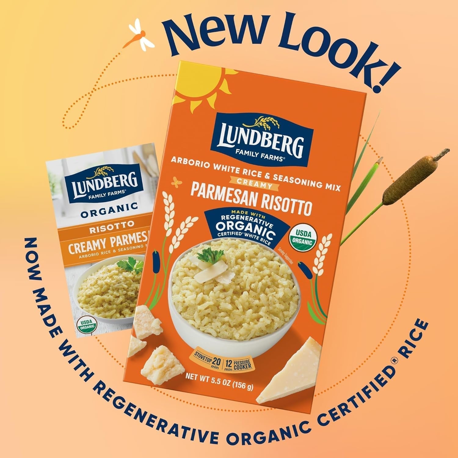 Organic Creamy Parmesan Risotto Seasoned Rice - Regenerative Organic Certified Arborio Rice & Seasoning Mix, Gluten Free, 5.5 Ounce Box
