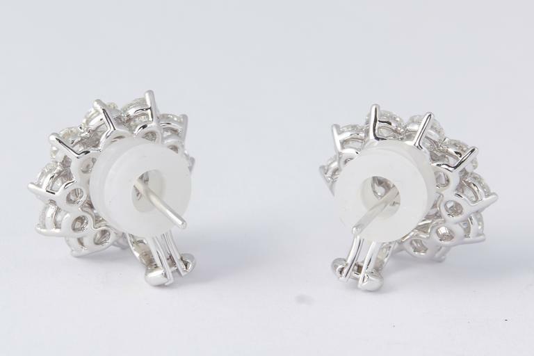 Unique Diamond Illusion 6.13 ct Stud Earrings with Halo Design