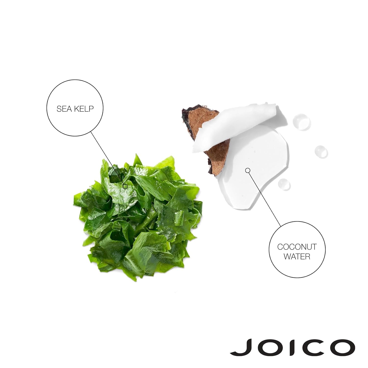 with Sea Kelp & Coconut Water