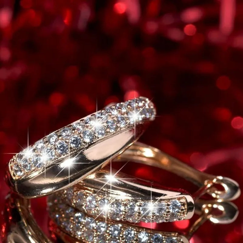 Exquisite Fashion   Diamond Stainless Steel Earrings European and American Women Earrings Health Care Weight Loss Earrings 100% Surprise  Chakra Burning Fat Yoga Energy Slimming Diamond Earrings Jewelry