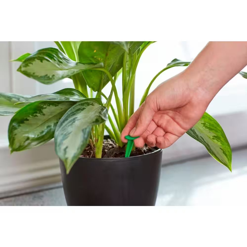 1.1 Oz. Indoor Plant Food Spikes