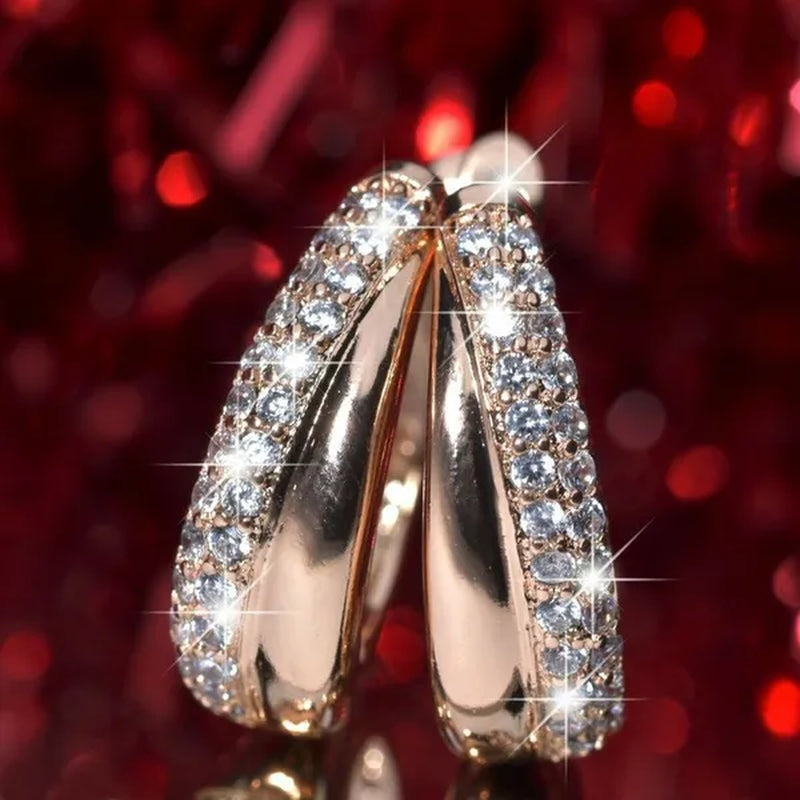 Exquisite Fashion   Diamond Stainless Steel Earrings European and American Women Earrings Health Care Weight Loss Earrings 100% Surprise  Chakra Burning Fat Yoga Energy Slimming Diamond Earrings Jewelry