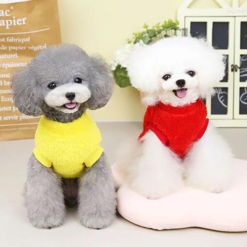 New Pet Clothes Pet Dog Cat Clothes Autumn and Winter Sweater Three Colors
